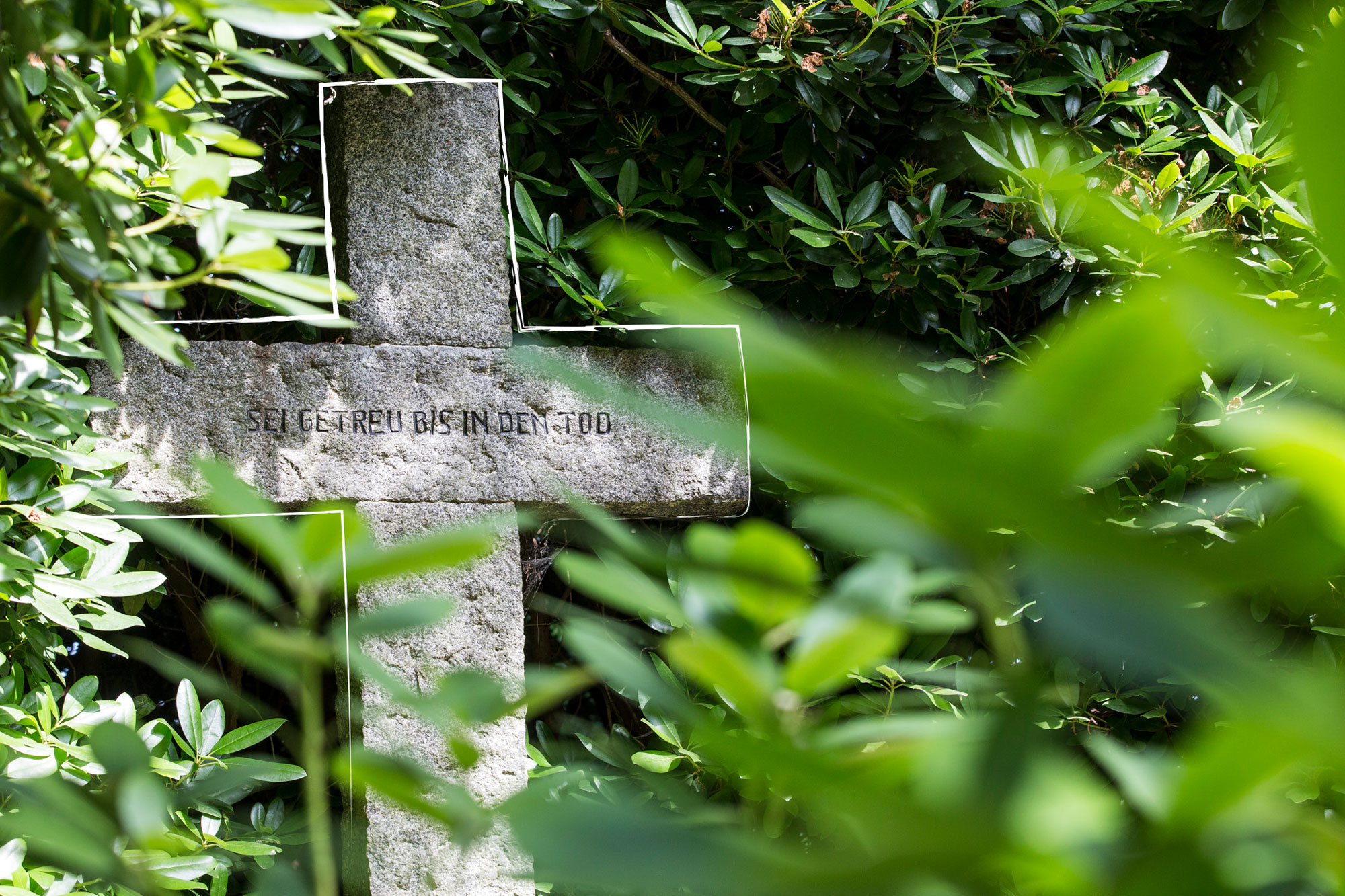Ein steinernes Kreuz wir leicht verdeckt durch verschiedene Sträucher. Auf dem Kreuz erkennt man die Aufschrift: „Sei getreu bis in den Tod“.